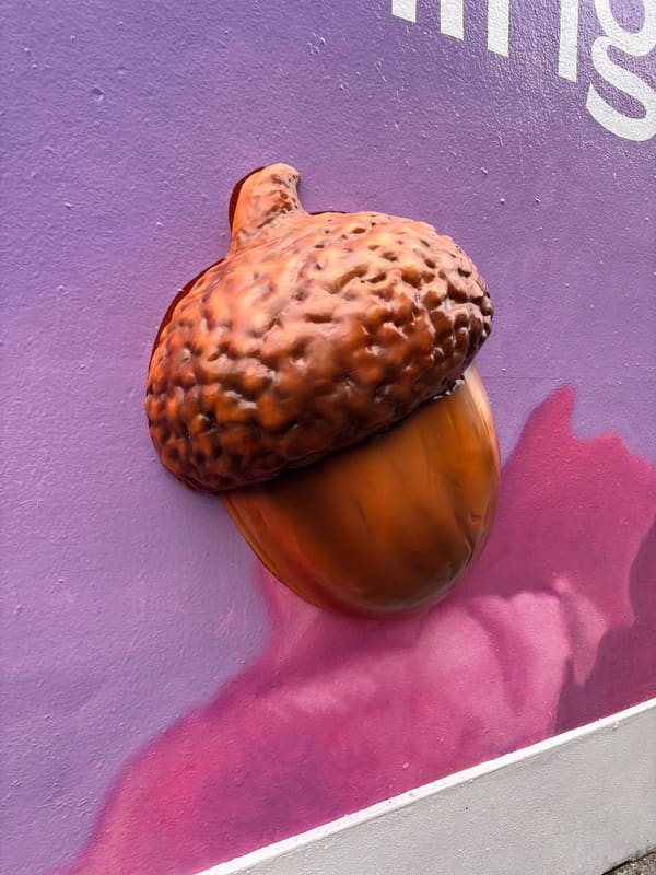 3D Acorns on a Canva Billboard