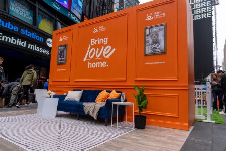 Bring Love Home Campaign Wall for Best Friends Animal Society in TSQ