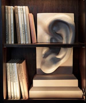 Large 3D Printed Ear 