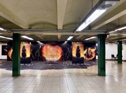 Damsel Vinyl Walls