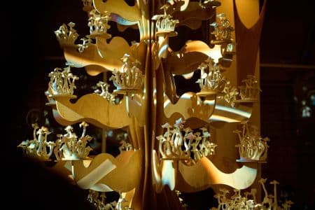 Wooden Frame for Untitled Studio's Large Scale Fungus Tree