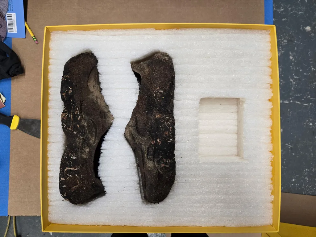 A pair of Dirt Shoes set into starch foam cavities in the yellow box
