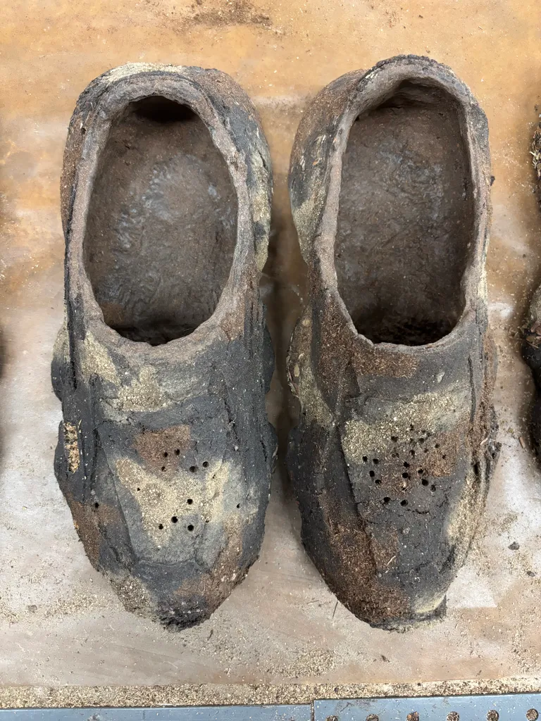 A finished pair from above, with perforations across the toe crease